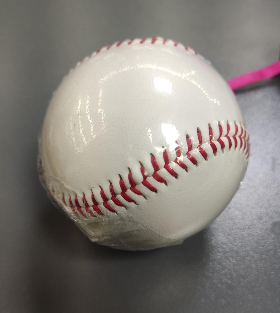 Pelota de Beisbol